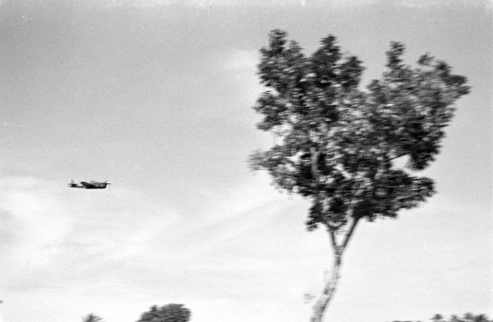 Een P40 Curtiss jachtvliegtuig, Bestanddeelnr 3798