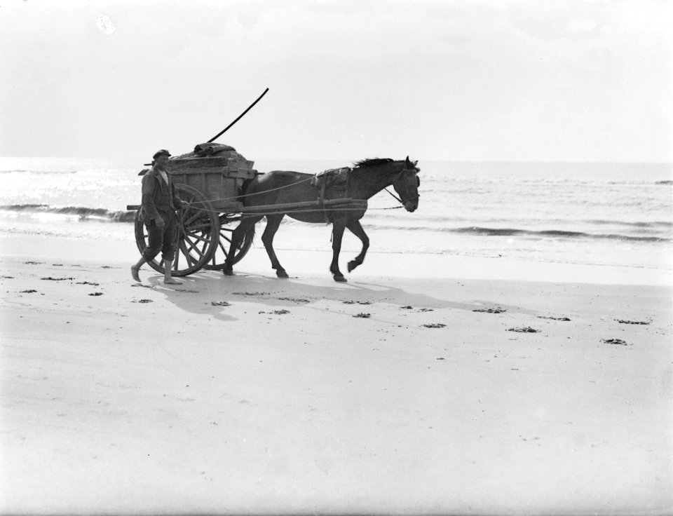 Een schelpenkar met lopend een man er naast op het strand van Zandvoort, Bestanddeelnr 252-0783