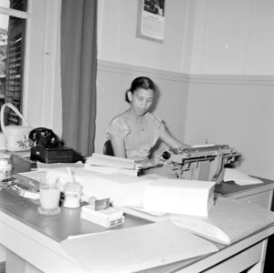 Een secretaresse van de gouverneur, Bestanddeelnr 252-2498