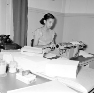 Een secretaresse van de gouverneur, Bestanddeelnr 252-2499