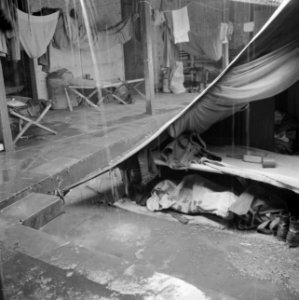Een tent op de binnenplaats van de tijdelijke militaire basis, Bestanddeelnr 255-8257