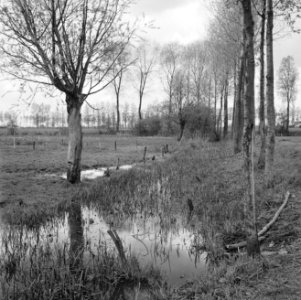 Een te dempen sloot, Bestanddeelnr 250-8020
