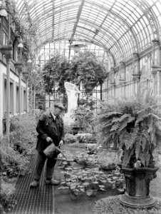 Een tuinman begiet planten in de serre van het paleis te Laken, Bestanddeelnr 190-0640 photo