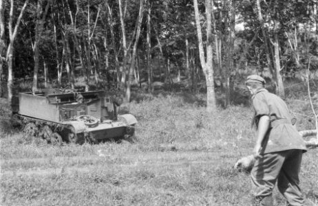 Een Universal Carrier in een rubberplantage, Bestanddeelnr 477-1-3