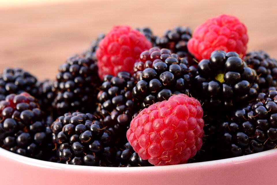 Berries dessert bowl