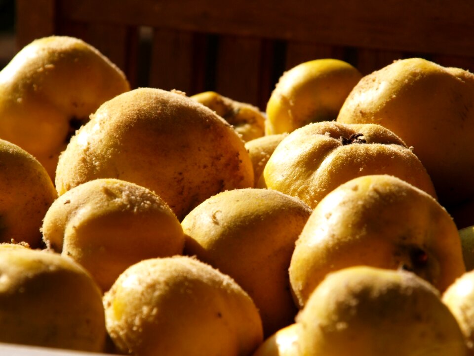 Harvest fruit hairy