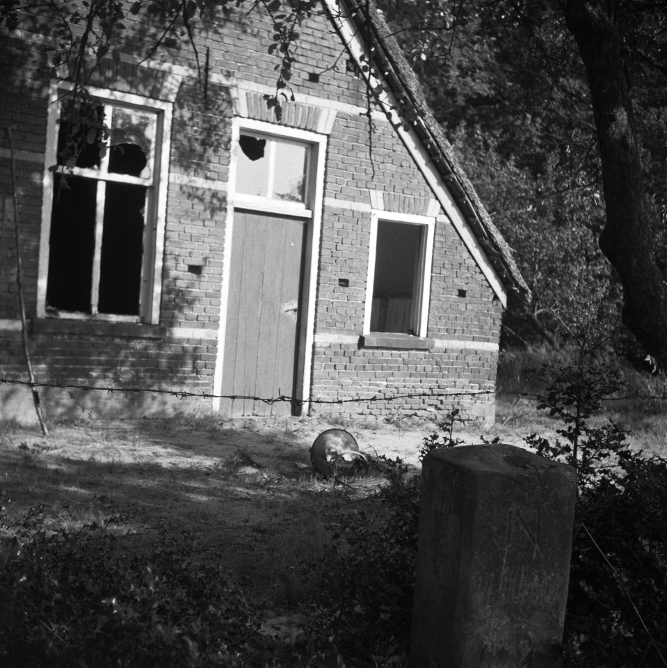 Een verlaten en beschadigde boerderij, Bestanddeelnr 900-7363