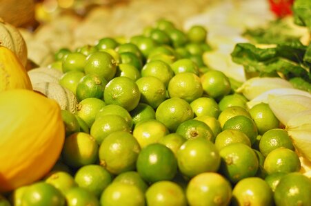 Green melon shop