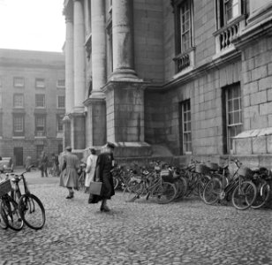 Een vrouwelijke professor van het Trinity College, Bestanddeelnr 191-0856