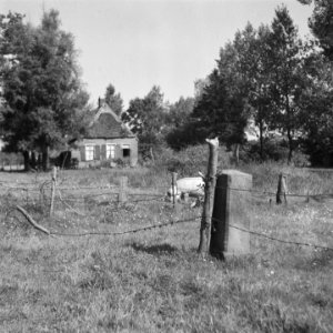 Een varken scharrelt op het erf van een oude boerderij, Bestanddeelnr 900-7365