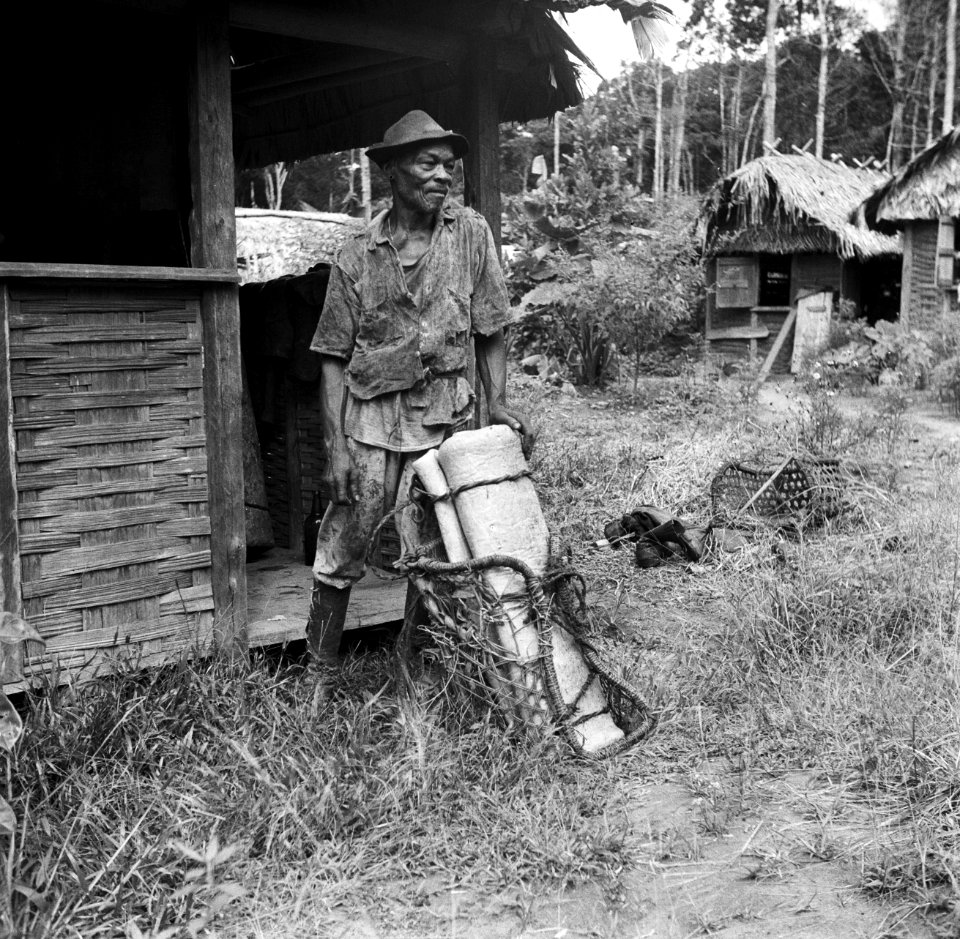 Een zogenaamde Balata-bleeder bij een huis in Nickerie, Bestanddeelnr 252-5430