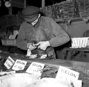 Een man maakt oesters schoon, Bestanddeelnr 254-0022