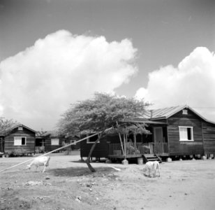 Een woning op palen op Curaçao, Bestanddeelnr 252-7768