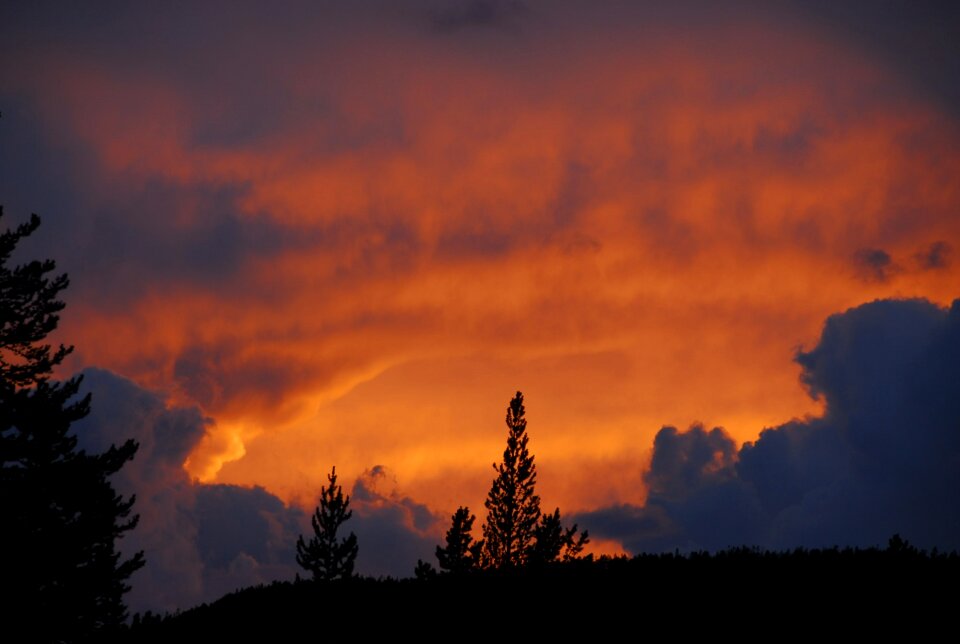 Colorful yellowstone national park wyoming