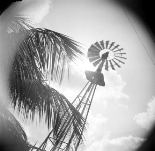 Een watermolen op Curaçao, Bestanddeelnr 252-7312