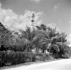 Een watermolen op Curaçao, Bestanddeelnr 252-7309