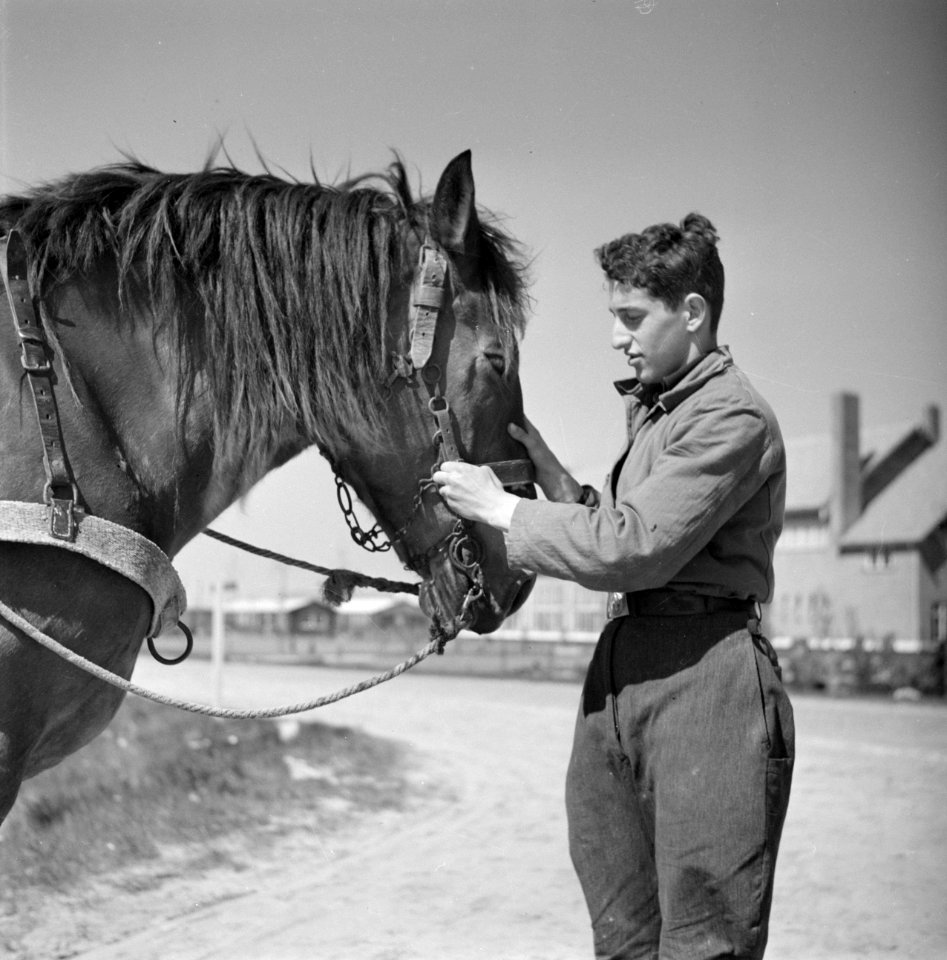 Een man met een paard in het Joodse werkdorp in de Wieringermeer, Bestanddeelnr 254-4924