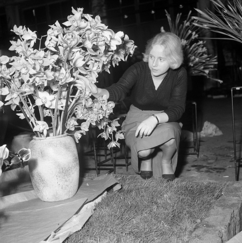 Eerste bloemen voor Floribunda 1965, meisje schikt de bloemen, Bestanddeelnr 917-5969