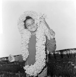 Eerste Bollenweekend, Jerry tussen de narcissen, Bestanddeelnr 917-6103