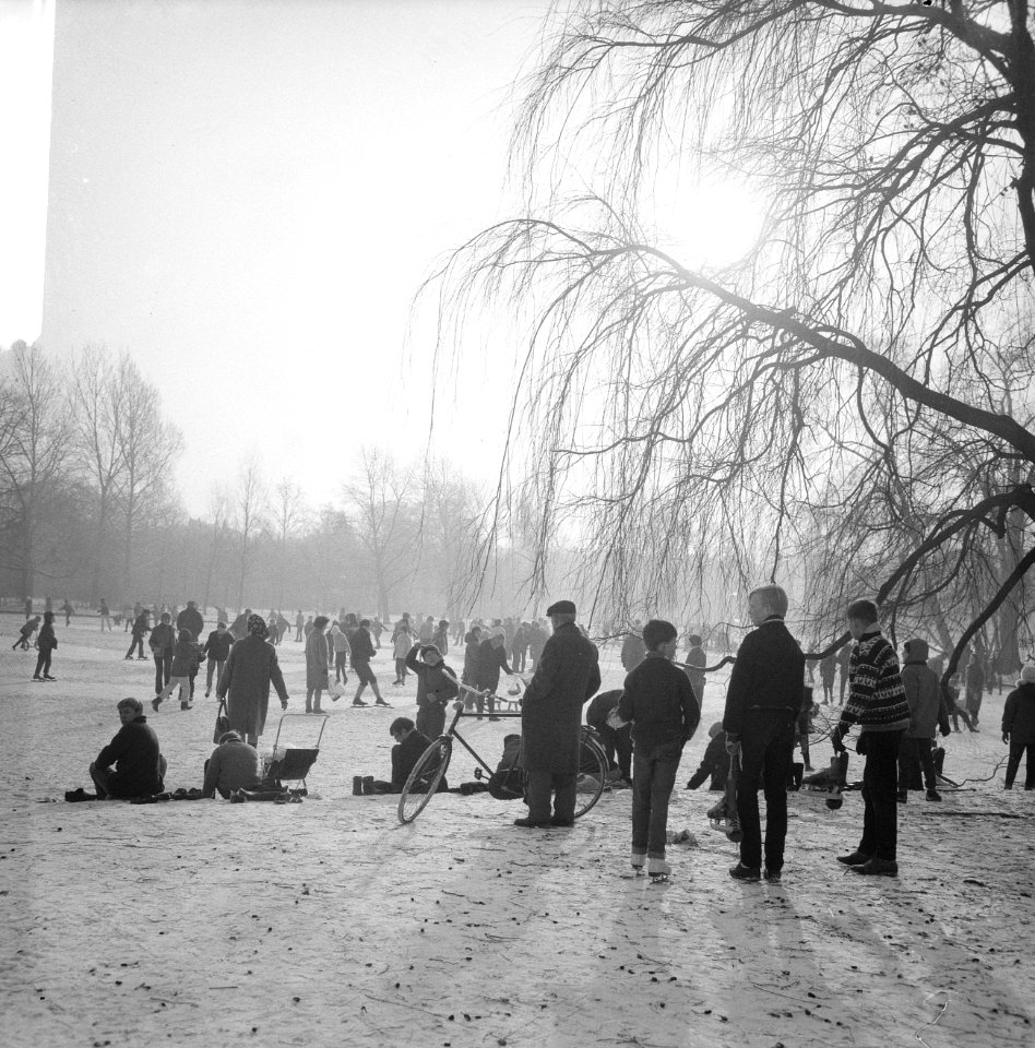 Eenden in Vondelpark gevoerd door bezoekers, Bestanddeelnr 918-6934