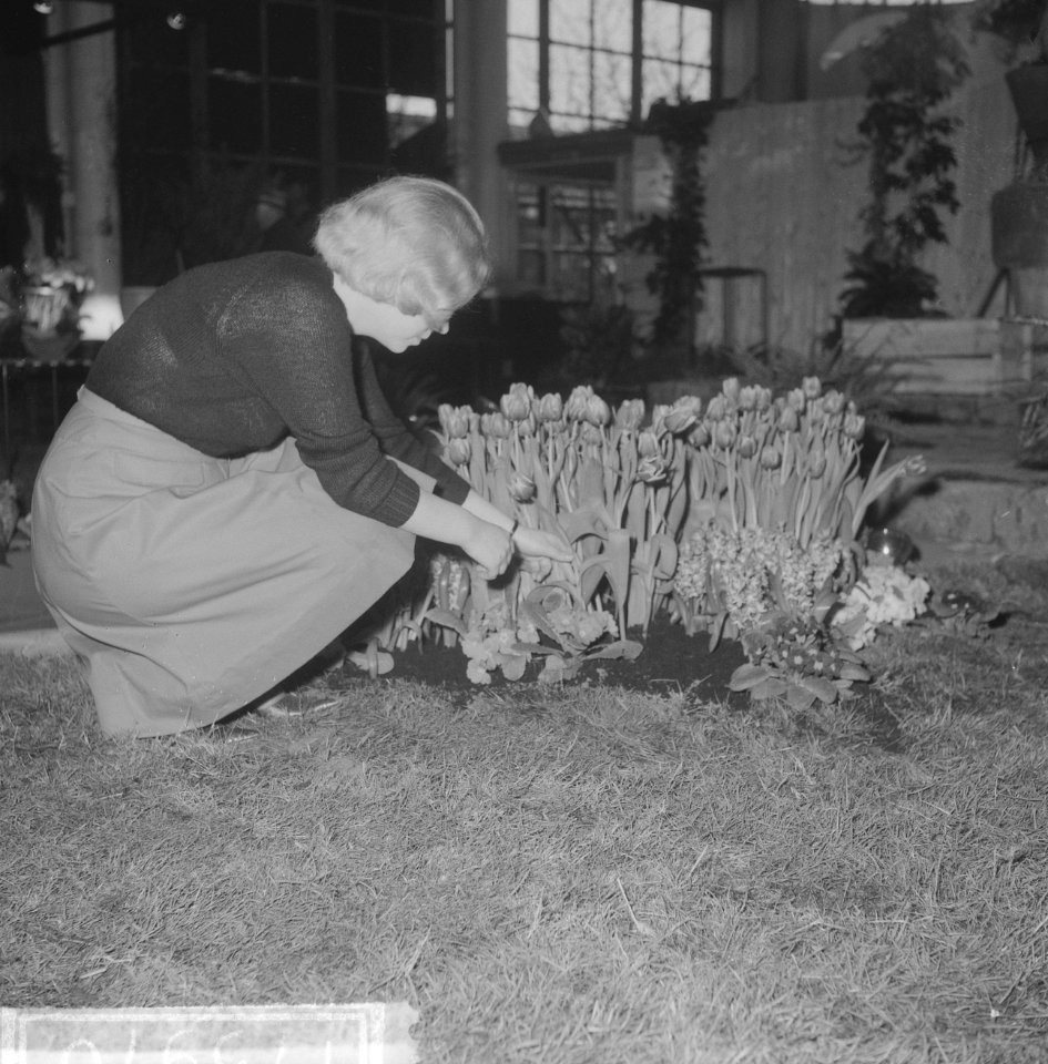 Eerste bloemen voor Floribunda 1965, bloemen schikken, Bestanddeelnr 917-5970