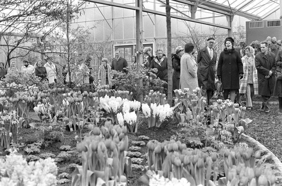 Eerste bezoekers in kassen van Keukenhof, Bestanddeelnr 925-4952
