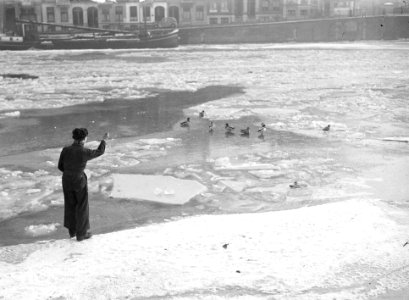 Eenden op de Amstel, Bestanddeelnr 902-0216