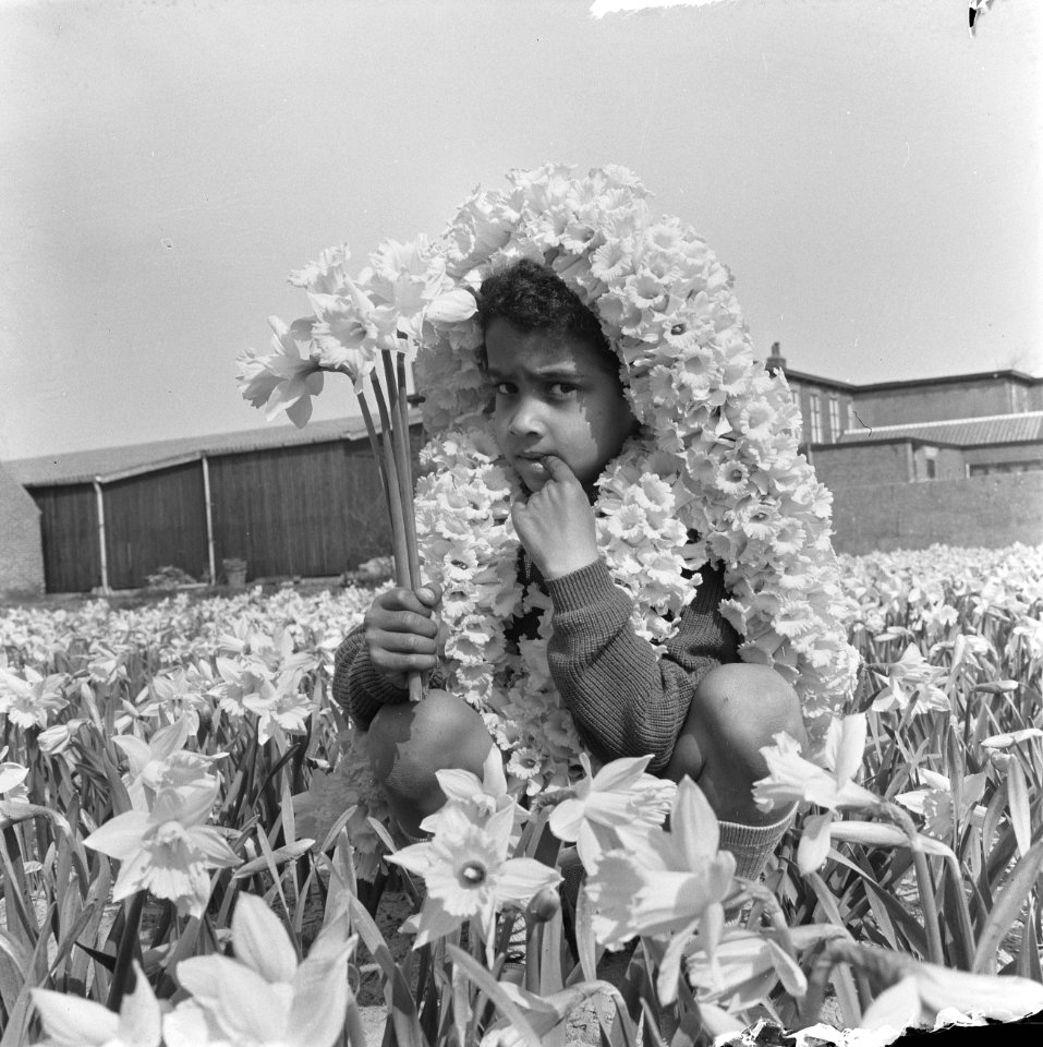 Eerste Bollenweekend, Jerry tussen de narcissen, Bestanddeelnr 917-6099