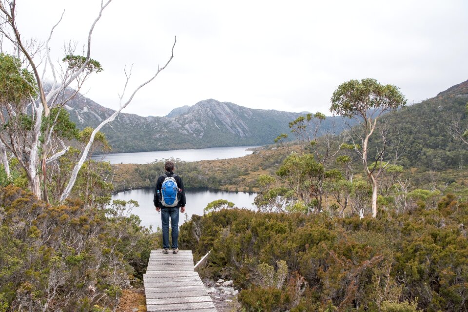 Tasmania national park nature