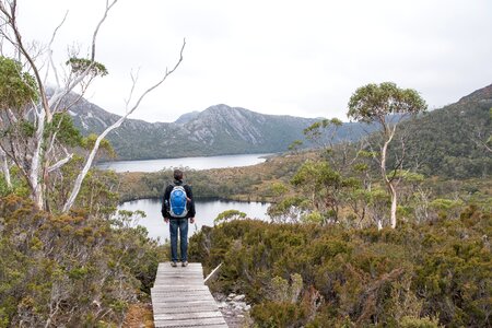 Tasmania national park nature photo