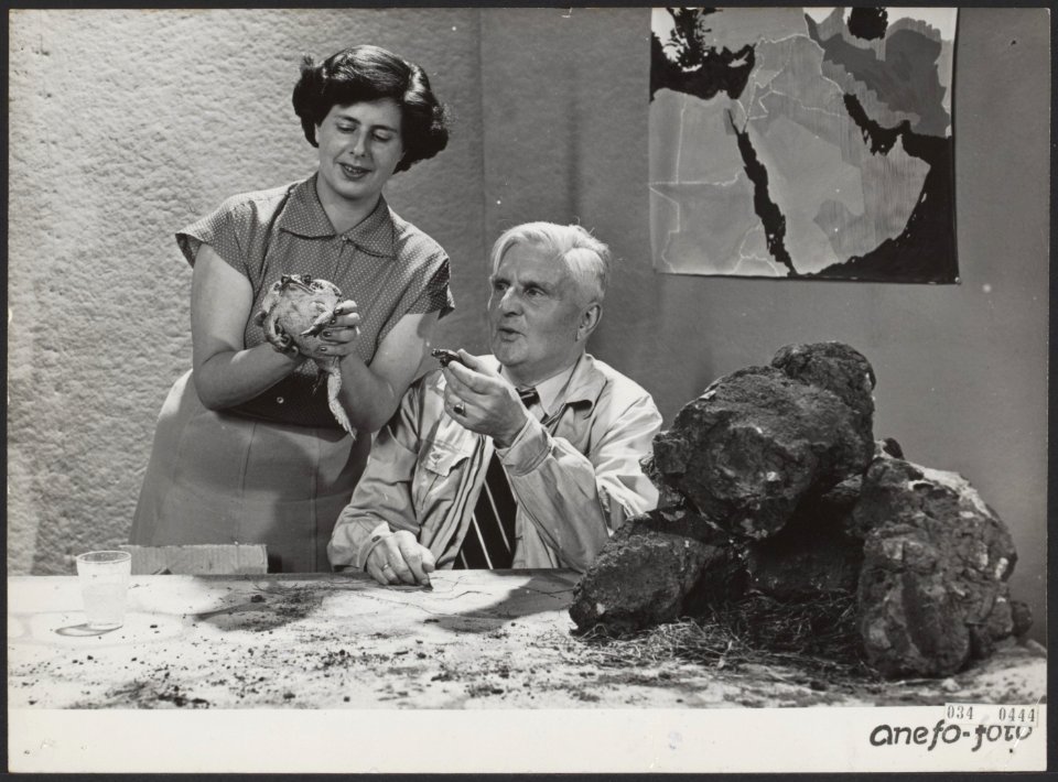 Eerste AVRO televisie-uitzending. In het eerste AVRO programma, getiteld Televiz, Bestanddeelnr 034-0444