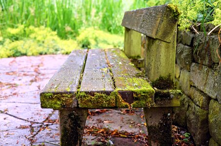 Old wood bench weathered park bench photo