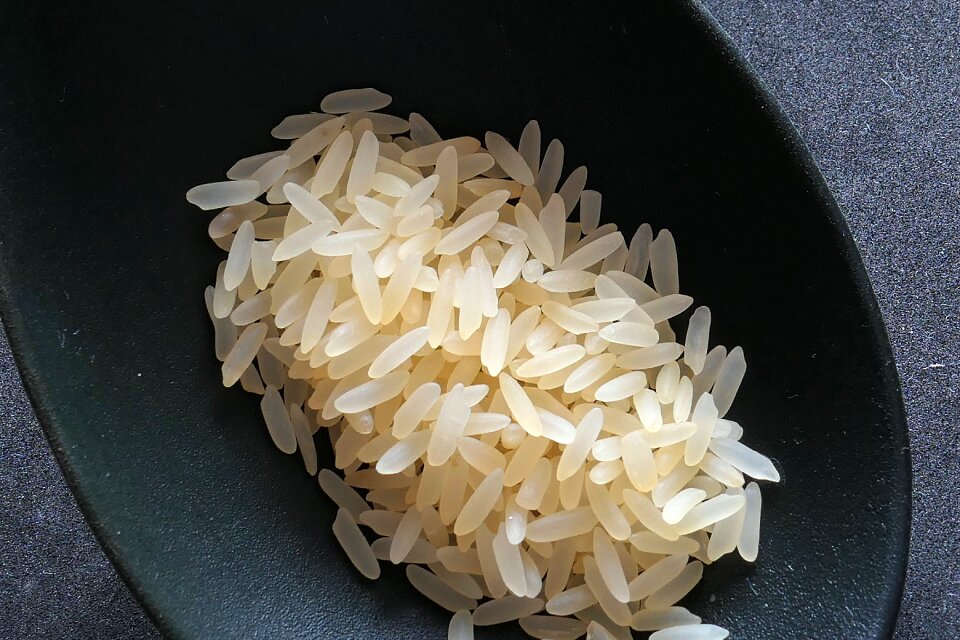 Eat food rice dish