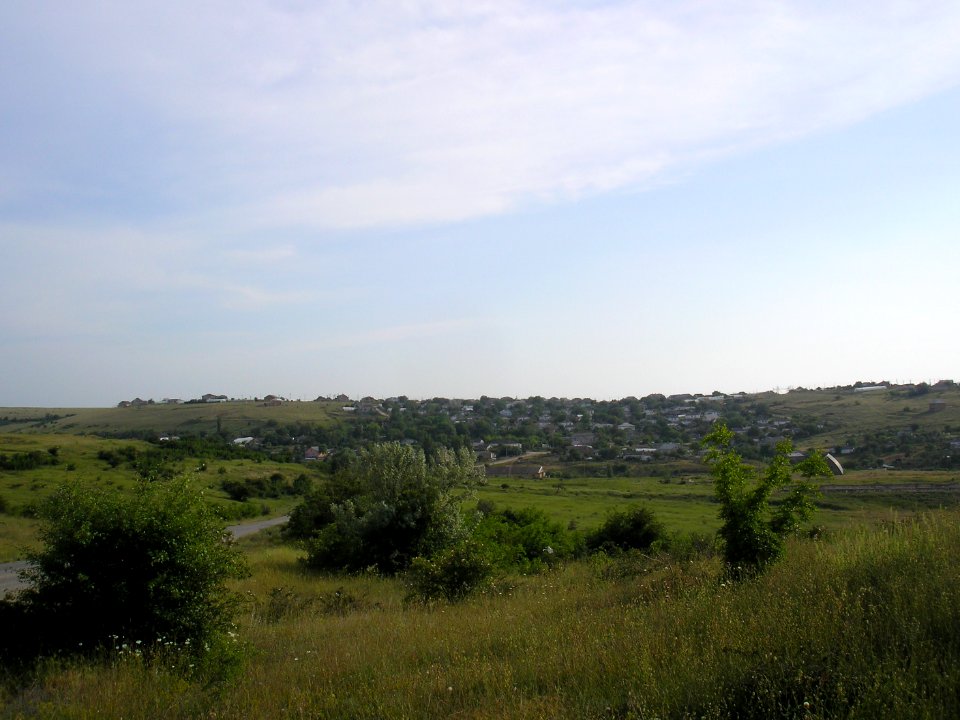 Edichel 3