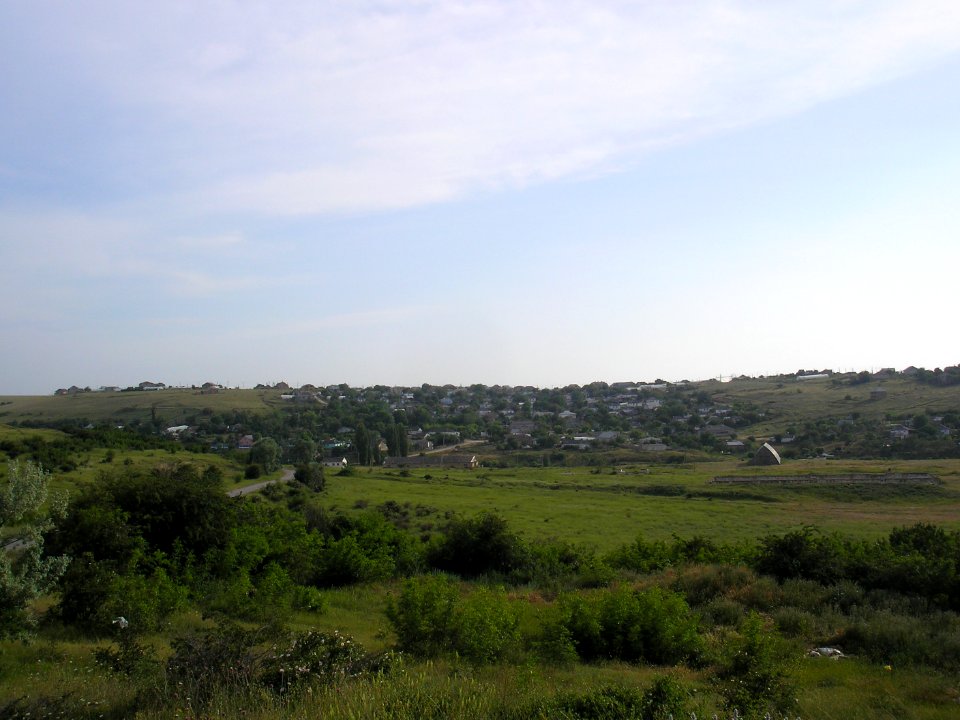 Edichel 1