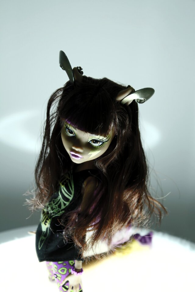 Figure girl monster high