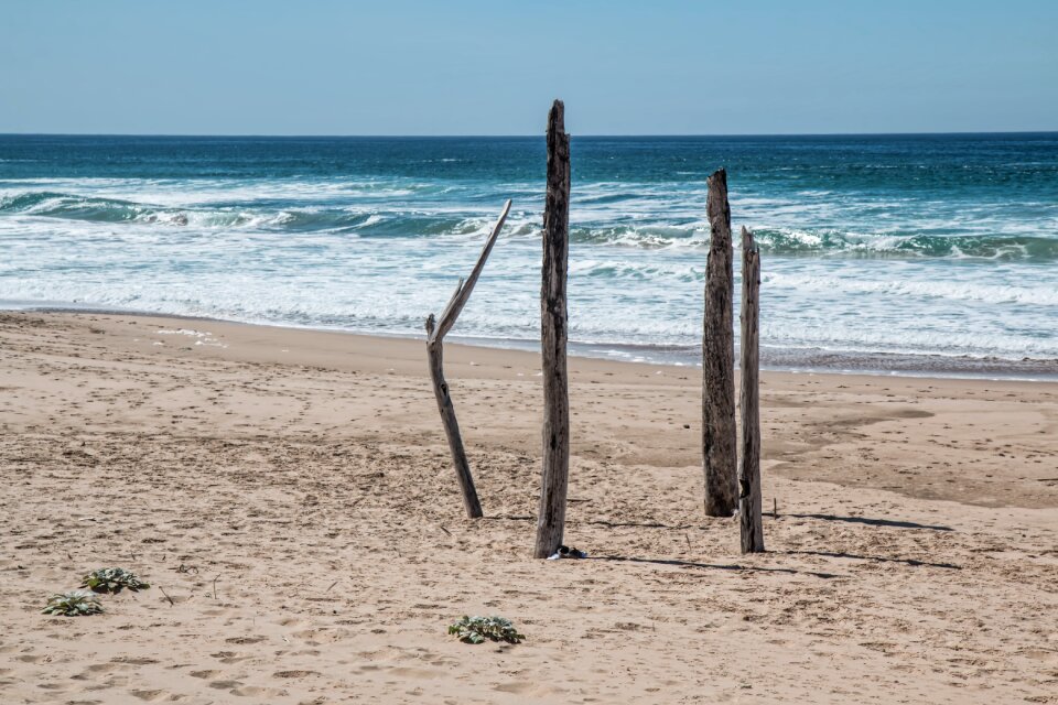 Isolated lonely driftwood
