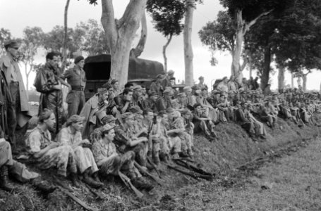 Een grote groep militairen kijkt gezeten in een berm naar iets, Bestanddeelnr 1565-5-1