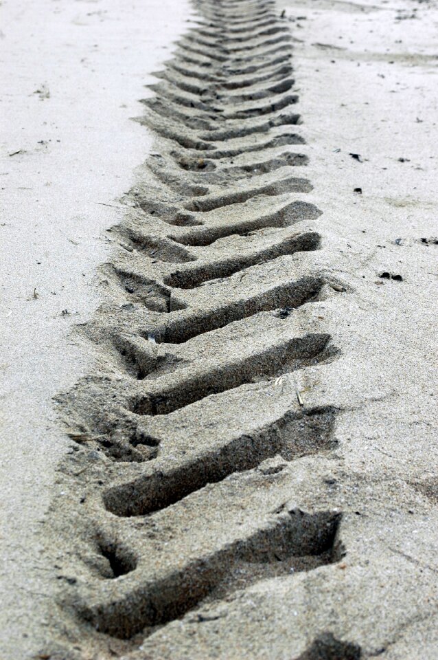 Sand print ride