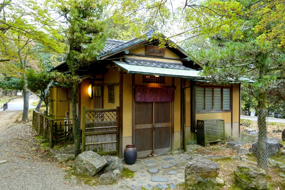 Edosan - Nara Park - Nara, Japan - DSC07432