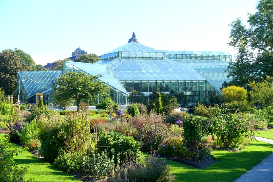 Edvard Anderson Conservatory - Bergianska trädgården - Stockholm, Sweden - DSC00186