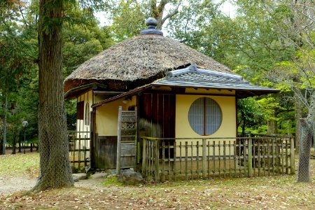 Edosan - Nara Park - Nara, Japan - DSC07434
