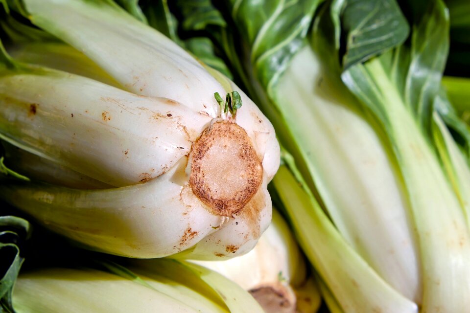 Vegetables green vegetable plant