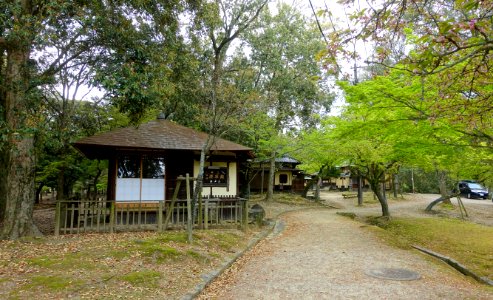 Edosan - Nara Park - Nara, Japan - DSC07420