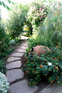 Edvard Anderson Conservatory - Bergianska trädgården - Stockholm, Sweden - DSC00362