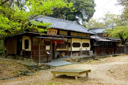 Edosan - Nara Park - Nara, Japan - DSC07426