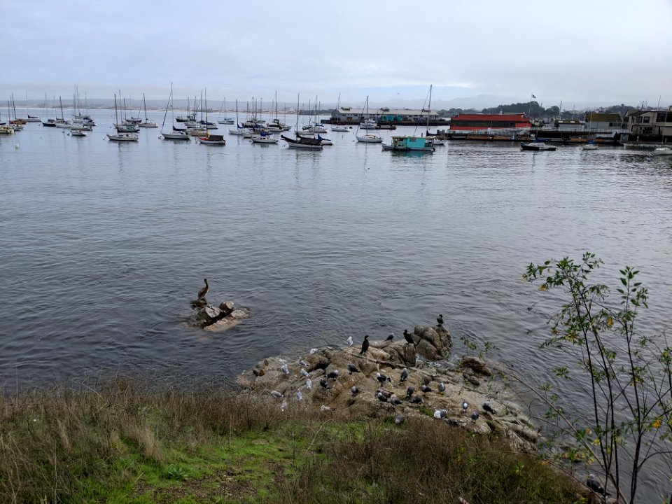 Edward F. Ricketts State Marine Conservation Area