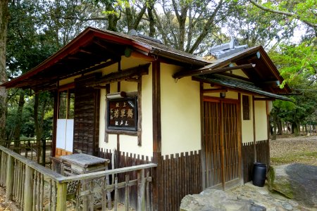 Edosan - Nara Park - Nara, Japan - DSC07422