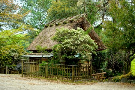 Edosan - Nara Park - Nara, Japan - DSC07424