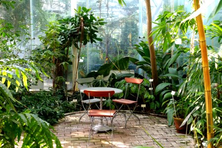 Edvard Anderson Conservatory - Bergianska trädgården - Stockholm, Sweden - DSC00433